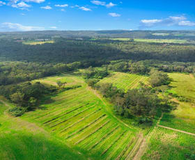 Rural / Farming commercial property for sale at Lillicrapps Road Mangrove Mountain NSW 2250