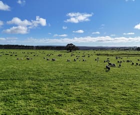 Rural / Farming commercial property for sale at 1 McDonalds Lane Ballan VIC 3342