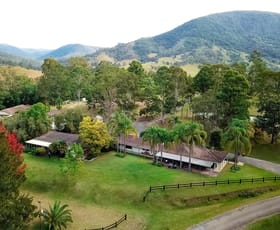 Hotel, Motel, Pub & Leisure commercial property for sale at Mount Seaview NSW 2446