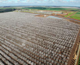 Rural / Farming commercial property for sale at Tharbogang NSW 2680 Rural / Farming commercial property for sale at Tharbogang NSW 2680