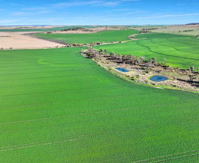 Rural / Farming commercial property for sale at Croppa Creek NSW 2411