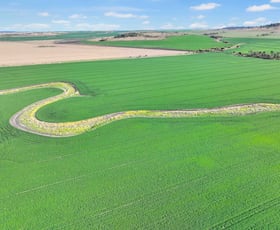 Rural / Farming commercial property for sale at Croppa Creek NSW 2411