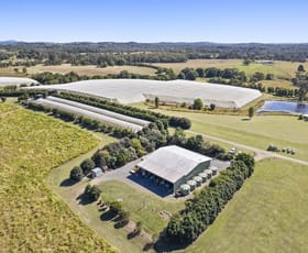 Rural / Farming commercial property for sale at 42 Noakes Road Traveston QLD 4570