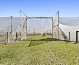 Rural / Farming commercial property for sale at 42 Noakes Road Traveston QLD 4570