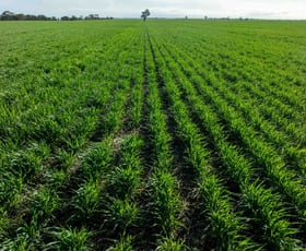 Rural / Farming commercial property for sale at 826 Greenhills Road Jung VIC 3401