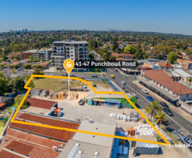Shop & Retail commercial property for sale at 41-47 Punchbowl Road Strathfield South NSW 2136