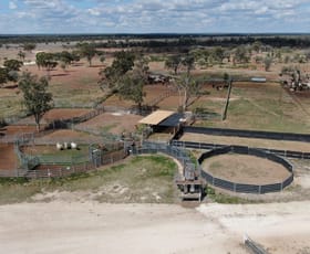 Rural / Farming commercial property for sale at 5812 Bollon Road Mungallala South QLD 4467 Rural / Farming commercial property for sale at 5812 Bollon Road Mungallala South QLD 4467