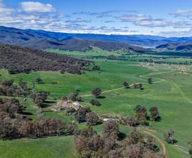 Rural / Farming commercial property sold at 175 Oak Hill Track Bringenbrong NSW 3707 Rural / Farming commercial property sold at 175 Oak Hill Track Bringenbrong NSW 3707