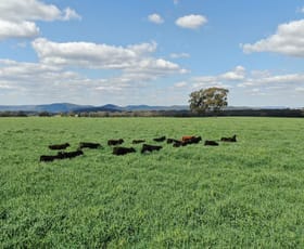 Offices commercial property for sale at 12/4 Edward Street Bunbury WA 6230