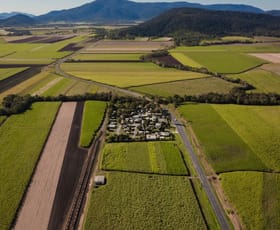 Hotel, Motel, Pub & Leisure commercial property for sale at 13067 Bruce Highway Myrtlevale QLD 4800