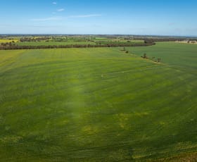 Rural / Farming commercial property for sale at 1623 Redlands Road Ringwood NSW 2646