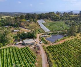 Rural / Farming commercial property for sale at 43 Pringle Road Rosemount QLD 4560