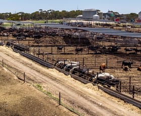 Rural / Farming commercial property for sale at 1156 Parrakie North Road Lameroo SA 5302