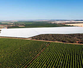 Rural / Farming commercial property for sale at Nericon NSW 2680