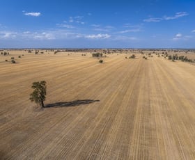 Rural / Farming commercial property for sale at 279 West Plains Road Corinella NSW 2871