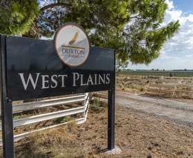Rural / Farming commercial property for sale at 279 West Plains Road Corinella NSW 2871