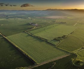 Rural / Farming commercial property for sale at 12500 Isis Highway Coalstoun Lakes QLD 4621 Rural / Farming commercial property for sale at 12500 Isis Highway Coalstoun Lakes QLD 4621