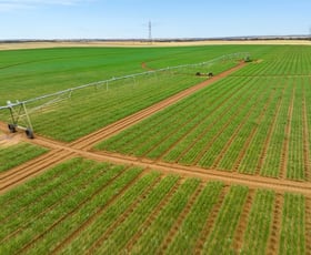 Rural / Farming commercial property for sale at Lot 3 Kerta Road Mypolonga SA 5254