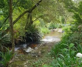 Other commercial property for sale at Springbrook QLD 4213 Other commercial property for sale at Springbrook QLD 4213