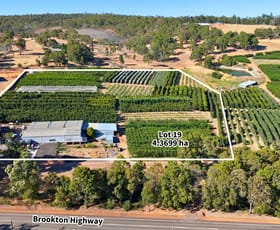 Rural / Farming commercial property for sale at 1311 Brookton Highway Karragullen WA 6111