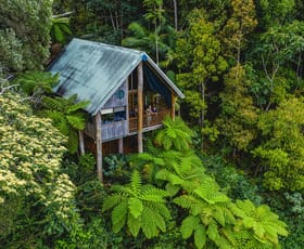 Hotel, Motel, Pub & Leisure commercial property for sale at Butchers Creek QLD 4885