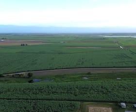 Rural / Farming commercial property for sale at 20 Colevale Road Brandon QLD 4808