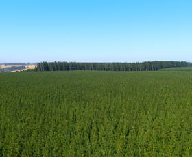 Rural / Farming commercial property for sale at Colac VIC 3250