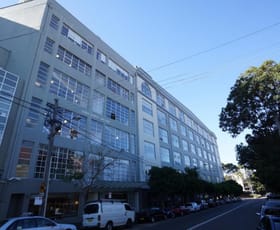 Showrooms / Bulky Goods commercial property leased at Suite 501A 19A Boundary Street Rushcutters Bay NSW 2011