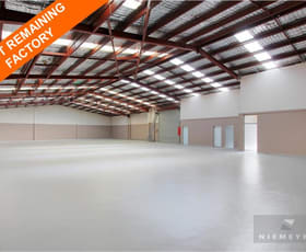 Factory, Warehouse & Industrial commercial property leased at 11 Sefton Road Thornleigh NSW 2120