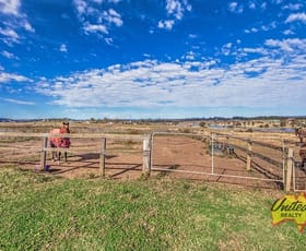 Rural / Farming commercial property leased at 100 Hardwicke Street The Oaks NSW 2570