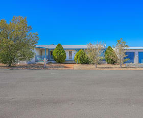 Rural / Farming commercial property for sale at 123 New Winton Road Tamworth NSW 2340