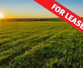 Rural / Farming commercial property leased at 1632 Quarry Road Myall Park NSW 2681