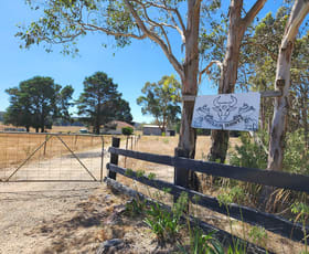 Rural / Farming commercial property leased at 480 Dewsburys Lane Lake Bathurst NSW 2580