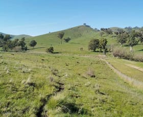 Rural / Farming commercial property for lease at 96 Taits Lane Yarck VIC 3719
