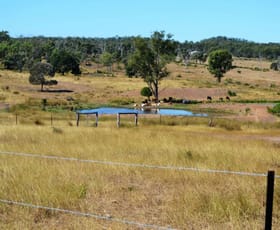 Rural / Farming commercial property for lease at 76 Blanche Road Garnant QLD 4702