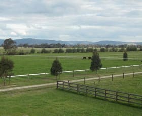 Rural / Farming commercial property for lease at 493 Plain Road Tabilk VIC 3607