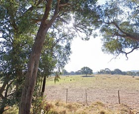 Rural / Farming commercial property for lease at 265 Mia Mia Road Broadford VIC 3658