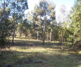 Rural / Farming commercial property sold at Lot 2, 77 Fernbrook Road Nerriga NSW 2622