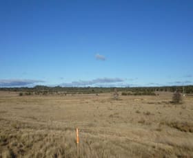 Rural / Farming commercial property sold at Lot 1 Sandy Point Road Windellama NSW 2580