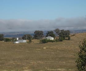 Rural / Farming commercial property sold at Cowra NSW 2794 Rural / Farming commercial property sold at Cowra NSW 2794