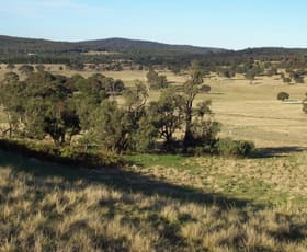 Rural / Farming commercial property sold at 128 Lakeview Road Tarago NSW 2580
