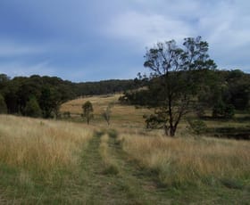 Rural / Farming commercial property sold at 303 Covan Creek Road Lake Bathurst NSW 2580