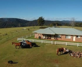 Rural / Farming commercial property sold at 116 Mollydale Road Tyringham NSW 2453