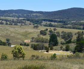 Rural / Farming commercial property sold at 431 Covan Creek Road Lake Bathurst NSW 2580