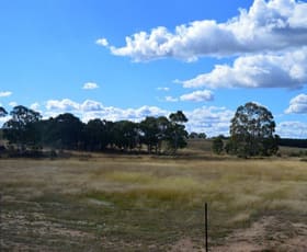 Rural / Farming commercial property sold at Lot 6 Sandy Point Road Windellama NSW 2580