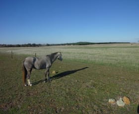 Rural / Farming commercial property sold at Lot 6 Maitland Road Beverley WA 6304