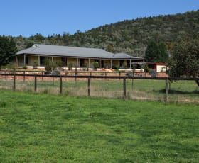 Rural / Farming commercial property sold at "Halcyon" 545 Noonameena Road Yeoval NSW 2868