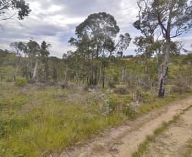 Rural / Farming commercial property sold at Lot 3 & Lo Chifley Road Clarence NSW 2790