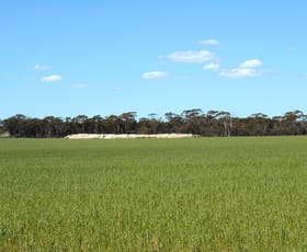 Rural / Farming commercial property sold at Lake Grace WA 6353