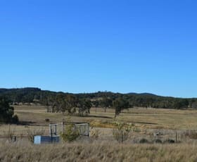 Rural / Farming commercial property sold at 2339 Mayfield Road Mayfield NSW 2580